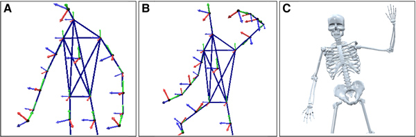 Applications. (a) An original actor's pose in the stream. (b) Significant changes applied to (a) by changing limb orientations corresponding to the main movement directions. (c) Raw character skeletons can be easily equipped with meshes due to the normalized data.