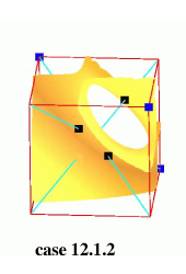 Topological configurations with two ambiguous faces: trilinear model in yellow-orange, isopoints in black, positive nodes in blue, rays in cyan.