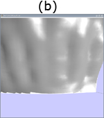 Visualization of a model of some teeth. (a) Visualization without zoom. (b) Zoomed visualization with the correct topology. (c) Zoomed visualization without the correct topology; some holes appear.