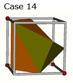 Well known cell cases in marching cubes method.