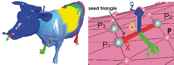 Illustration of the local coordinate frames