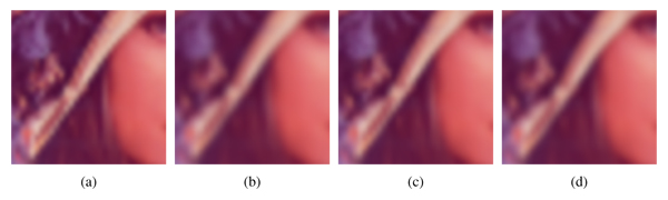 Detail of the 512 x 512 Lenna image blurred with (a) the 2 x 2 box analysis filter, (b) the 4 x 4 box analysis filter, (c) the biquadratic analysis filter, and (d) the quasi-convolution analysis filter.