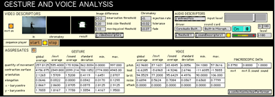 Screenshot of the gesture and voice analysis window.