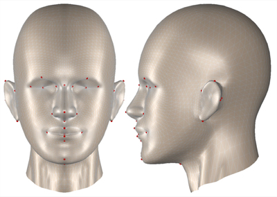 The reference mesh used for topology conversion with landmarks for the first algorithm stage.