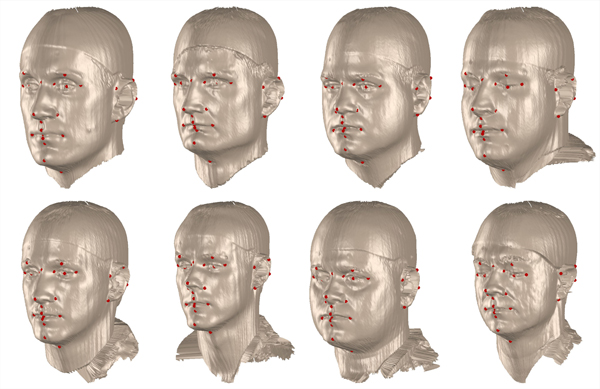 Examples of automatically placed landmark points in eight different raw laser-scans.