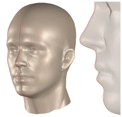 In this shape completion example, the target is only the red profile curve, which was extracted from a photo. The fitted head closely matches the target profile (right).