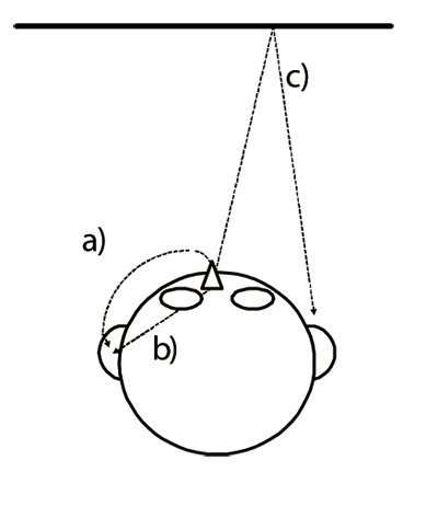 Relevant components of the perception of one's own voice