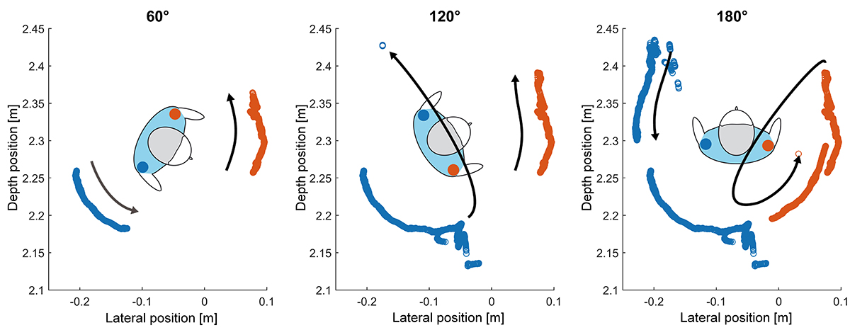 360° rotational experiment: Front/back ambiguity during rotation visualized for the non-center axis joints Shoulder_Left and Shoulder_Right. Their color change indicate the front/back ambiguity.