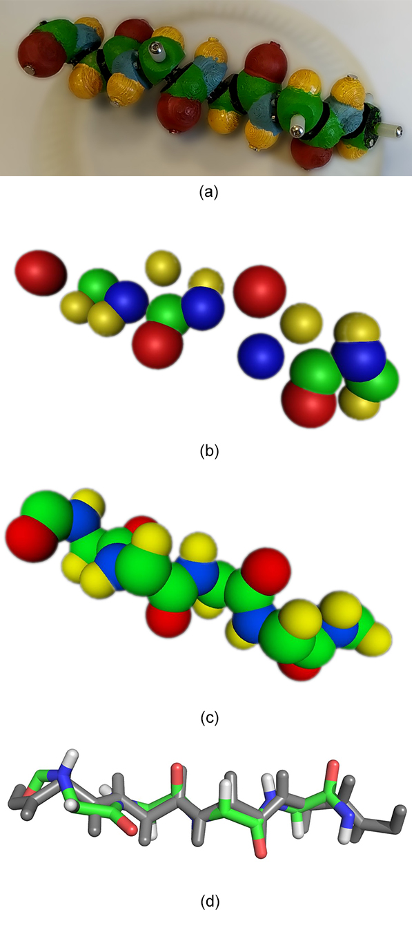 Figure 10: (a) Input video frame of the 5-amino-acid β-sheet peptide without lateral chains. (b) One output point cloud after the SFM step. (c) Full biological knowledge-driven reconstruction, the correct number of amino acids leads to the same atom count. (d) Reference structure in gray is aligned with the reconstructed structure with a RMSD of 0.889Å.