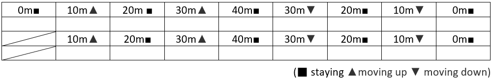 Table for the memory test in Experiment 2. Participants were asked to fill out the name of the color they saw during the simulation onto a section related to the height. The table shows the overall scenario of the pole motion.